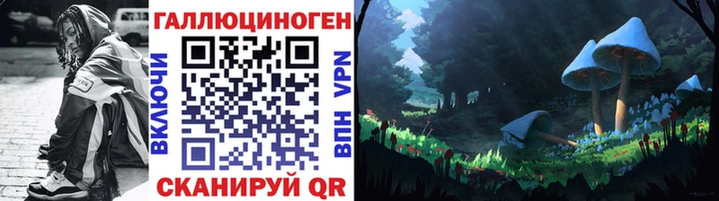 Псилоцибиновые грибы мицелий  Купить  Подольск 